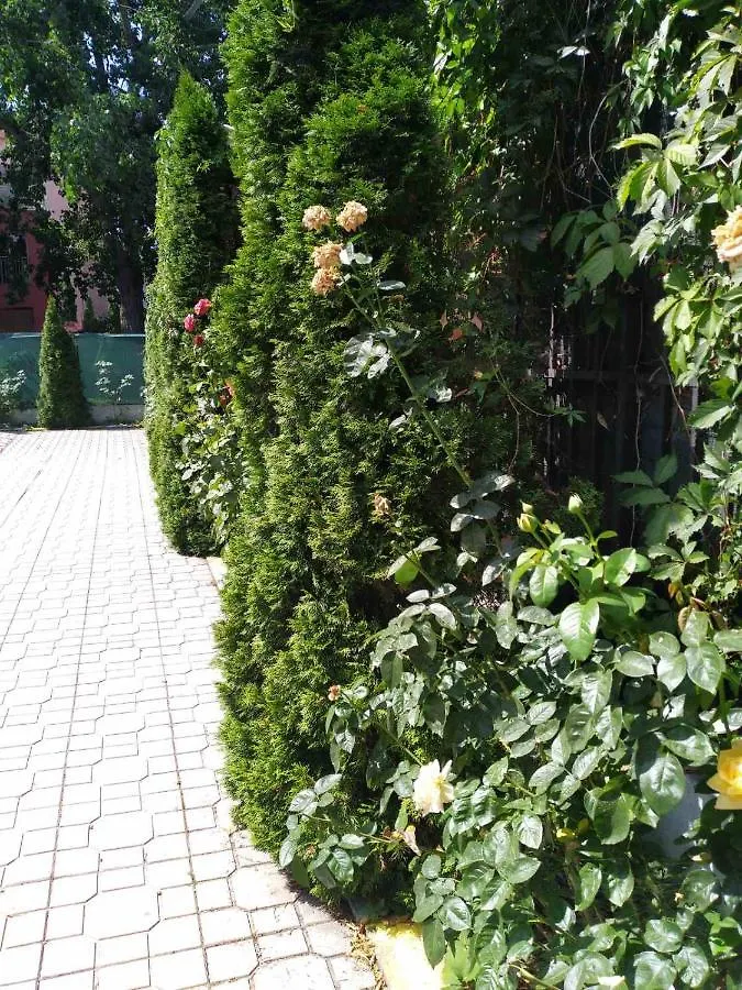 Violet Garden 2 Veranda Apartment Slăntjev Brjag 0*,  Bulgarien
